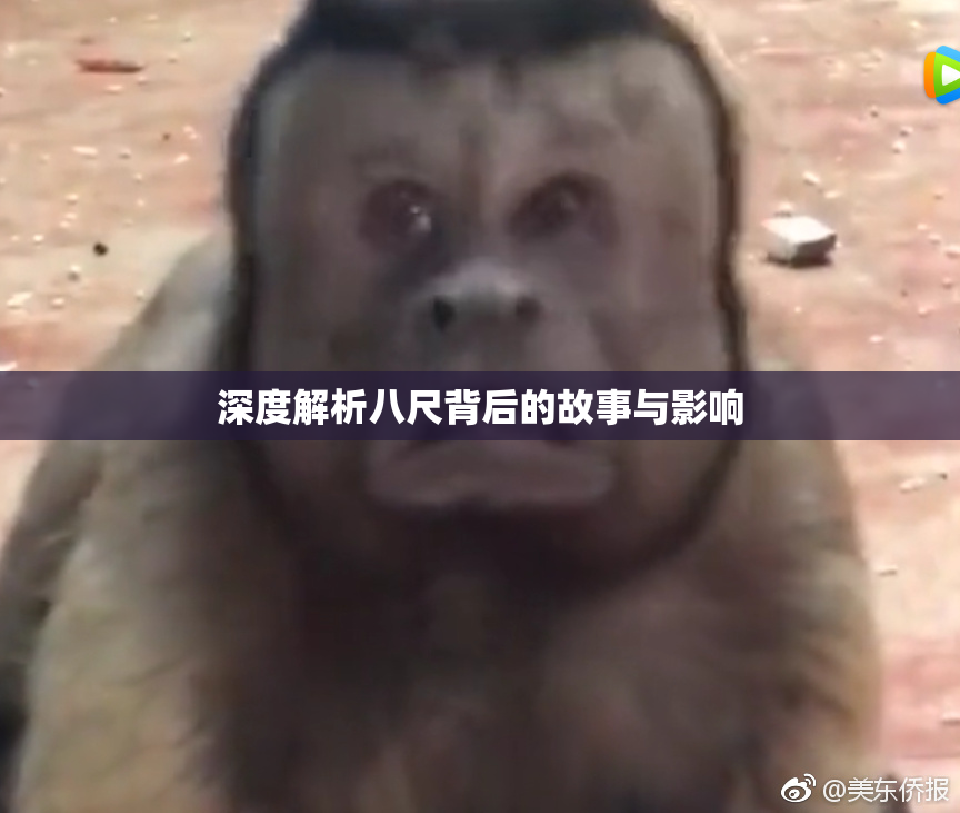 深度解析八尺背后的故事与影响