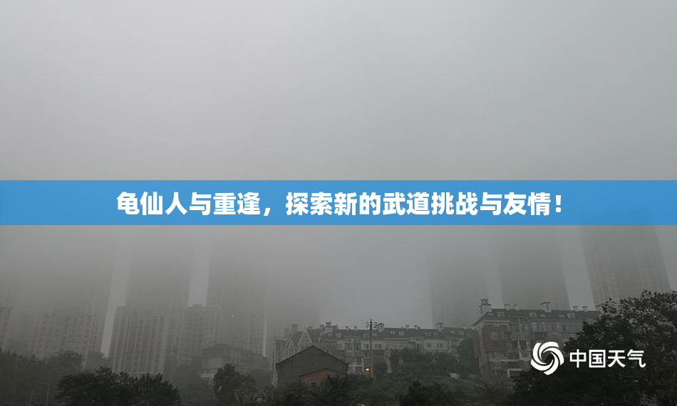 龟仙人与重逢，探索新的武道挑战与友情！