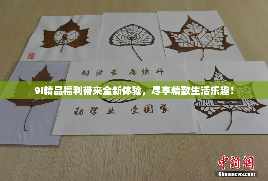 9I精品福利带来全新体验，尽享精致生活乐趣！