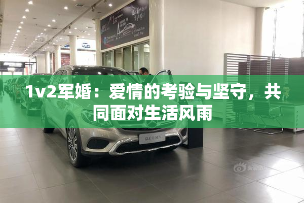 1v2军婚：爱情的考验与坚守，共同面对生活风雨