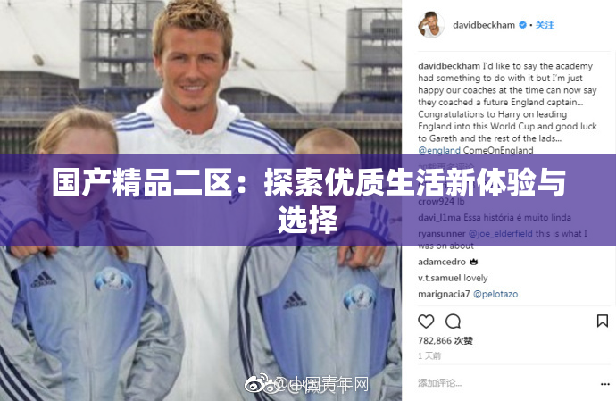 国产精品二区：探索优质生活新体验与选择
