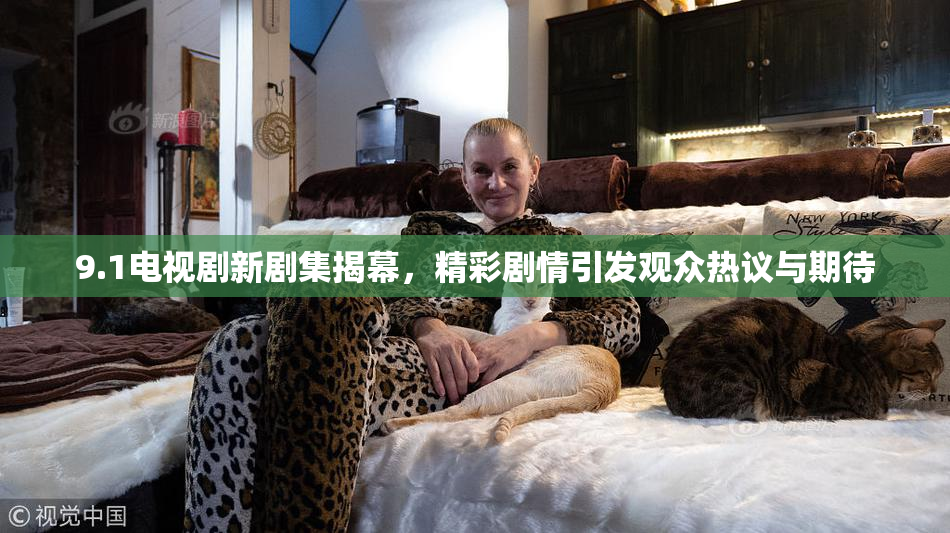 9.1电视剧新剧集揭幕，精彩剧情引发观众热议与期待