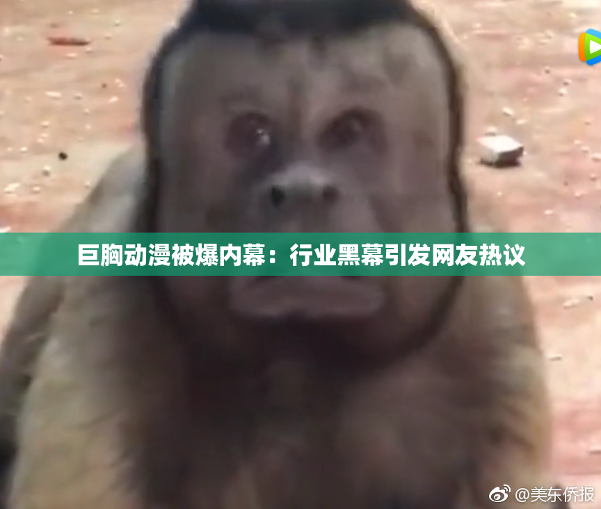 巨胸动漫被爆内幕：行业黑幕引发网友热议