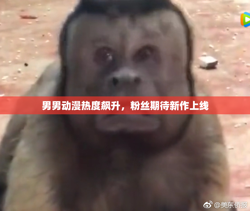 男男动漫热度飙升，粉丝期待新作上线