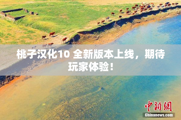 桃子汉化10 全新版本上线，期待玩家体验！