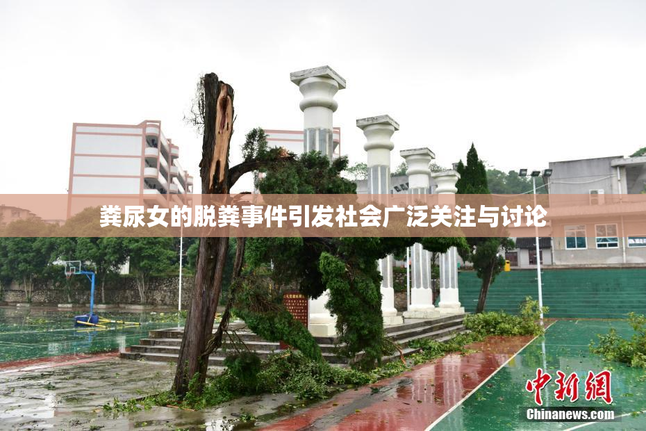 粪尿女的脱粪事件引发社会广泛关注与讨论