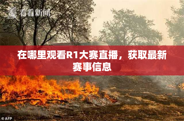 在哪里观看R1大赛直播，获取最新赛事信息
