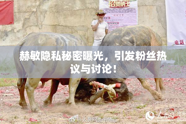 赫敏隐私秘密曝光，引发粉丝热议与讨论！