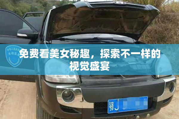 免费看美女秘趣，探索不一样的视觉盛宴