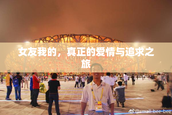 女友我的，真正的爱情与追求之旅