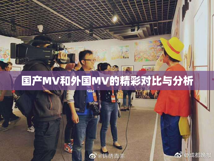 国产MV和外国MV的精彩对比与分析