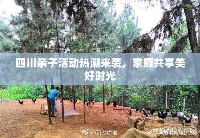 四川亲子活动热潮来袭，家庭共享美好时光