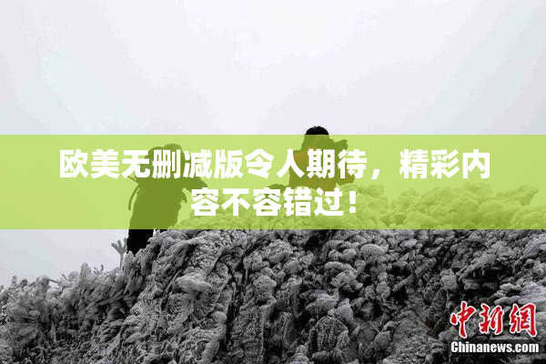 欧美无删减版令人期待，精彩内容不容错过！