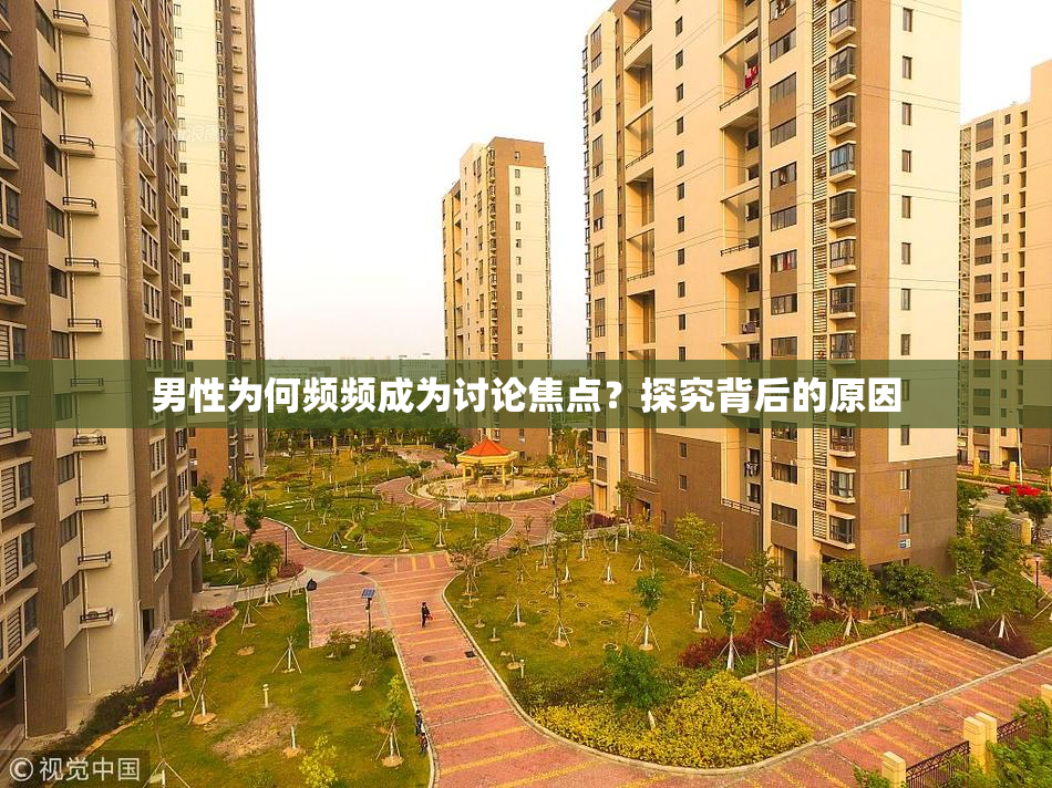 男性为何频频成为讨论焦点？探究背后的原因