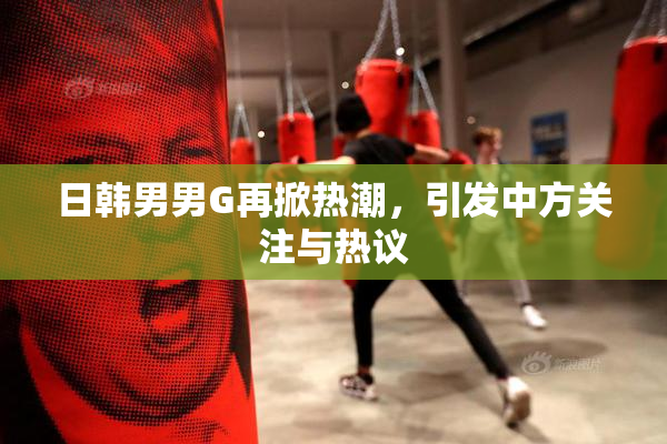 日韩男男G再掀热潮，引发中方关注与热议