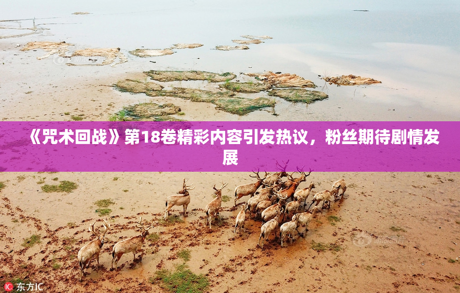 《咒术回战》第18卷精彩内容引发热议，粉丝期待剧情发展