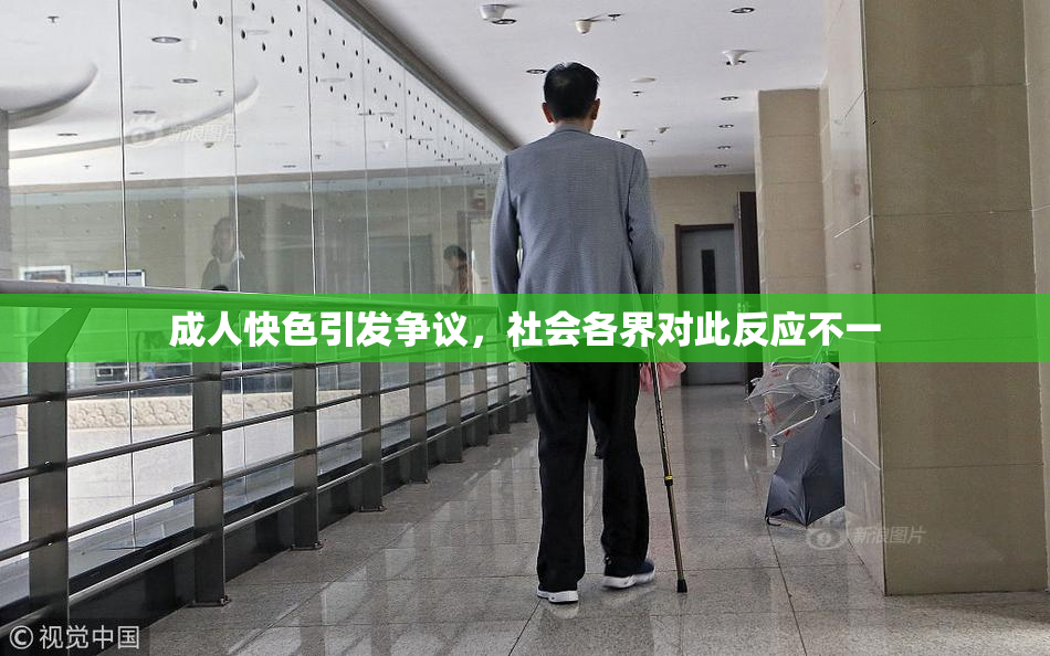 成人快色引发争议，社会各界对此反应不一