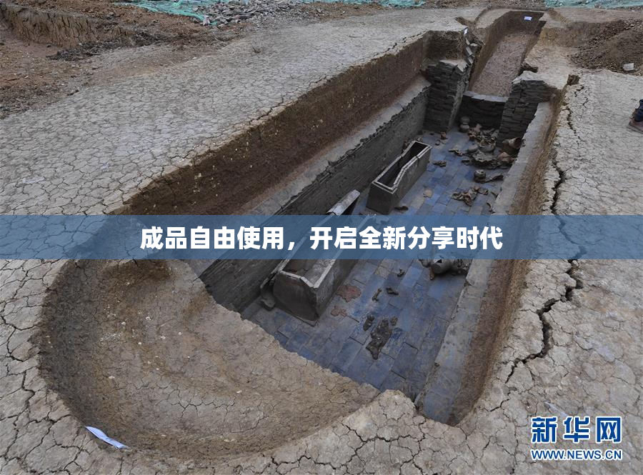 成品自由使用，开启全新分享时代