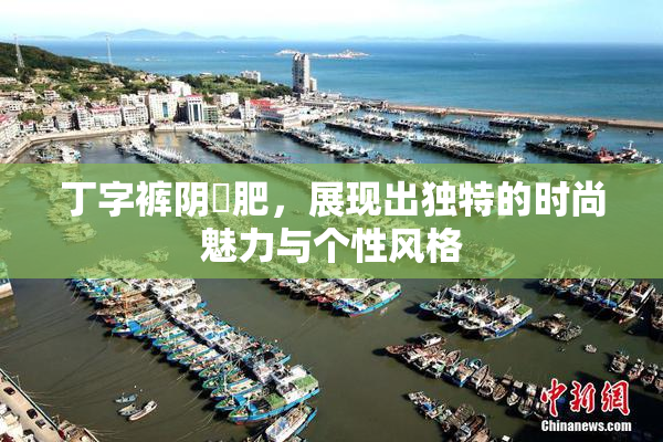 丁字裤阴脣肥，展现出独特的时尚魅力与个性风格