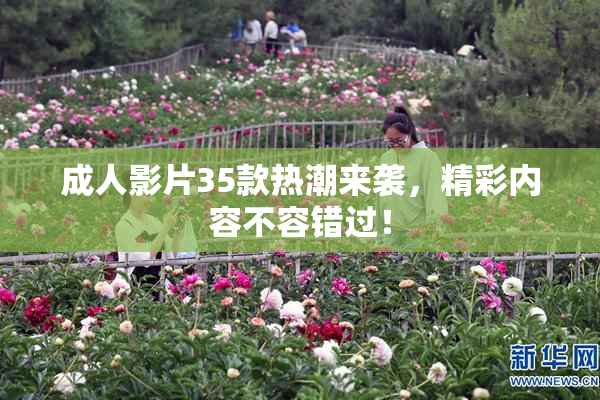 成人影片35款热潮来袭，精彩内容不容错过！