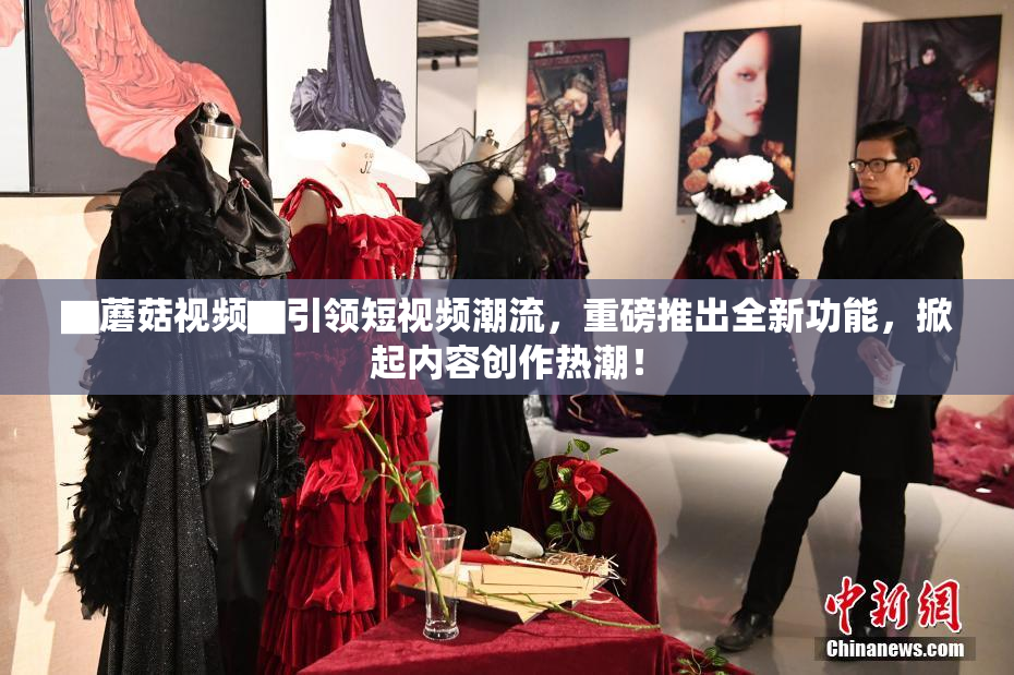 ▇蘑菇视频▇引领短视频潮流，重磅推出全新功能，掀起内容创作热潮！
