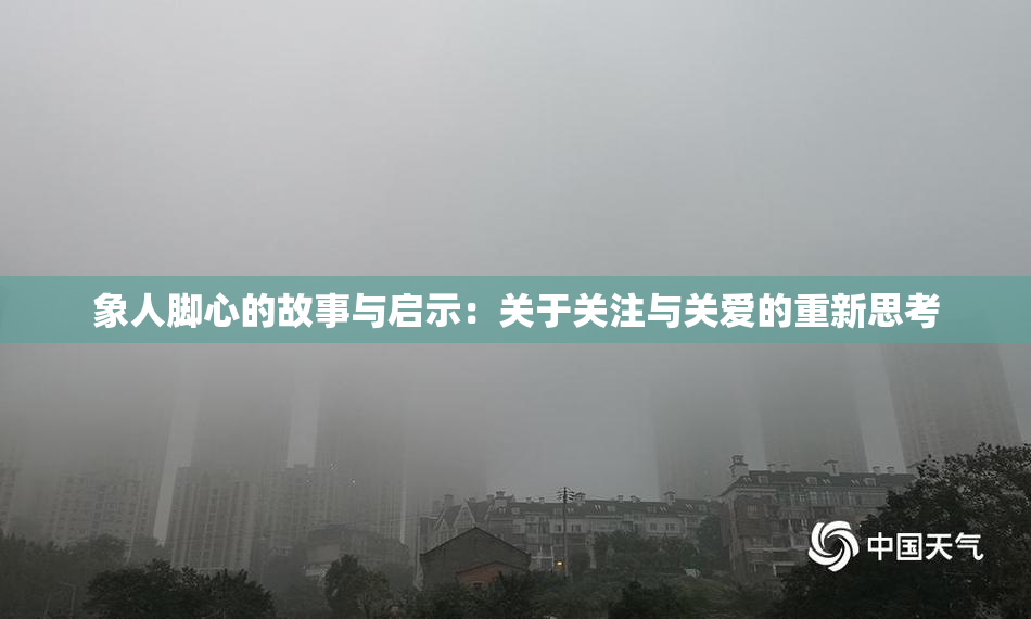 象人脚心的故事与启示：关于关注与关爱的重新思考
