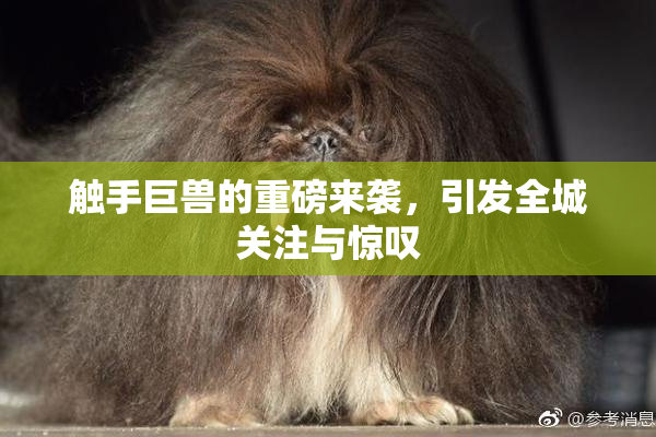 触手巨兽的重磅来袭，引发全城关注与惊叹