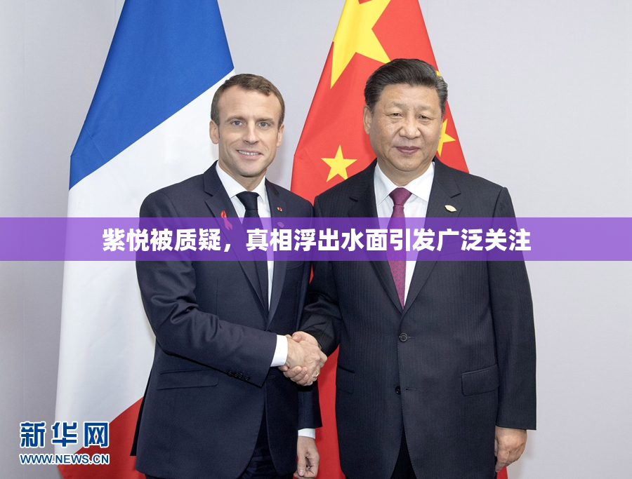 紫悦被质疑，真相浮出水面引发广泛关注