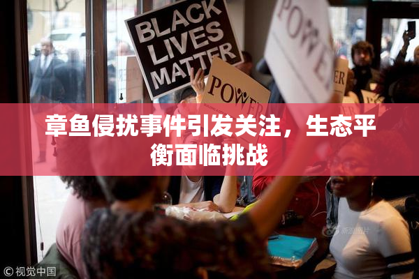 章鱼侵扰事件引发关注，生态平衡面临挑战