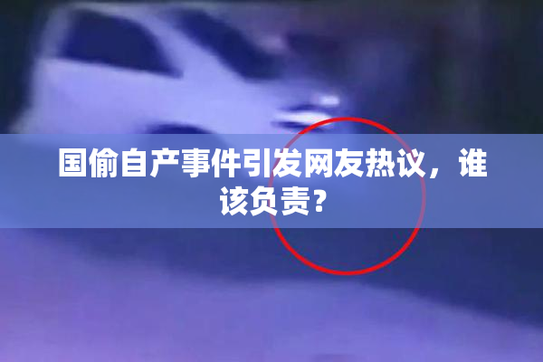 国偷自产事件引发网友热议，谁该负责？