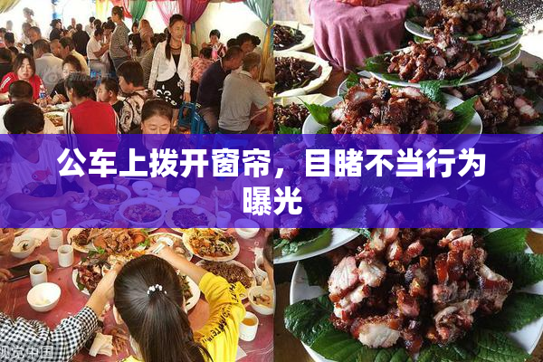 公车上拨开窗帘，目睹不当行为曝光