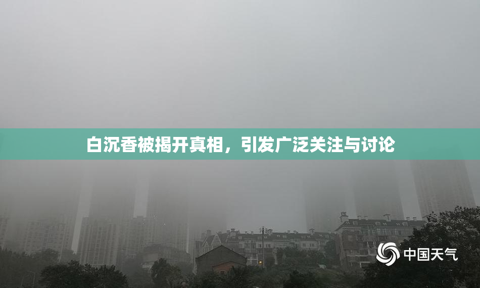 白沉香被揭开真相，引发广泛关注与讨论