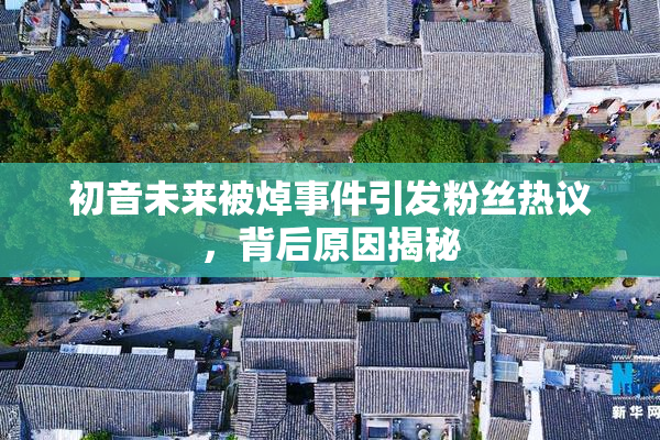 初音未来被焯事件引发粉丝热议，背后原因揭秘