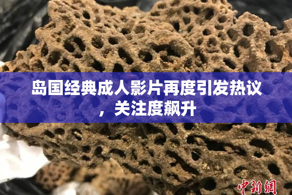 岛国经典成人影片再度引发热议，关注度飙升