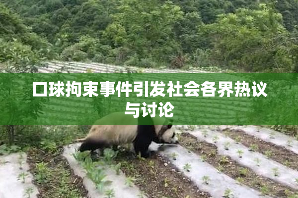 口球拘束事件引发社会各界热议与讨论
