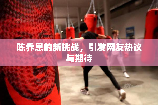 陈乔恩的新挑战，引发网友热议与期待
