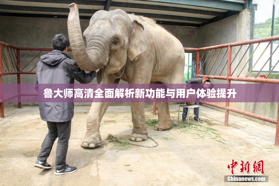 鲁大师高清全面解析新功能与用户体验提升