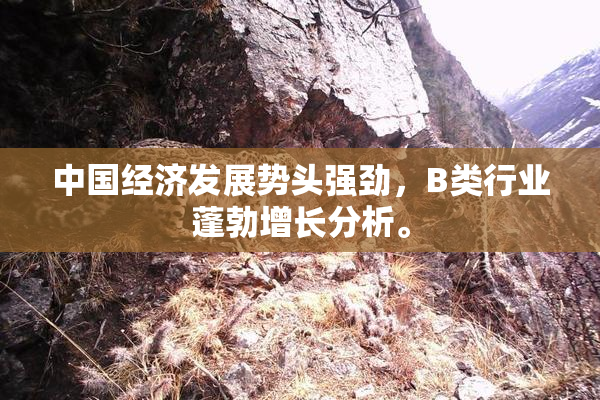 中国经济发展势头强劲，B类行业蓬勃增长分析。