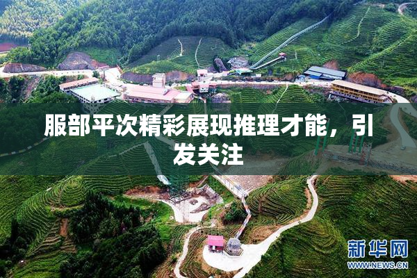 服部平次精彩展现推理才能，引发关注