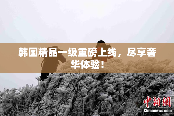韩国精品一级重磅上线，尽享奢华体验！