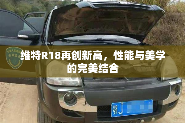 维特R18再创新高，性能与美学的完美结合