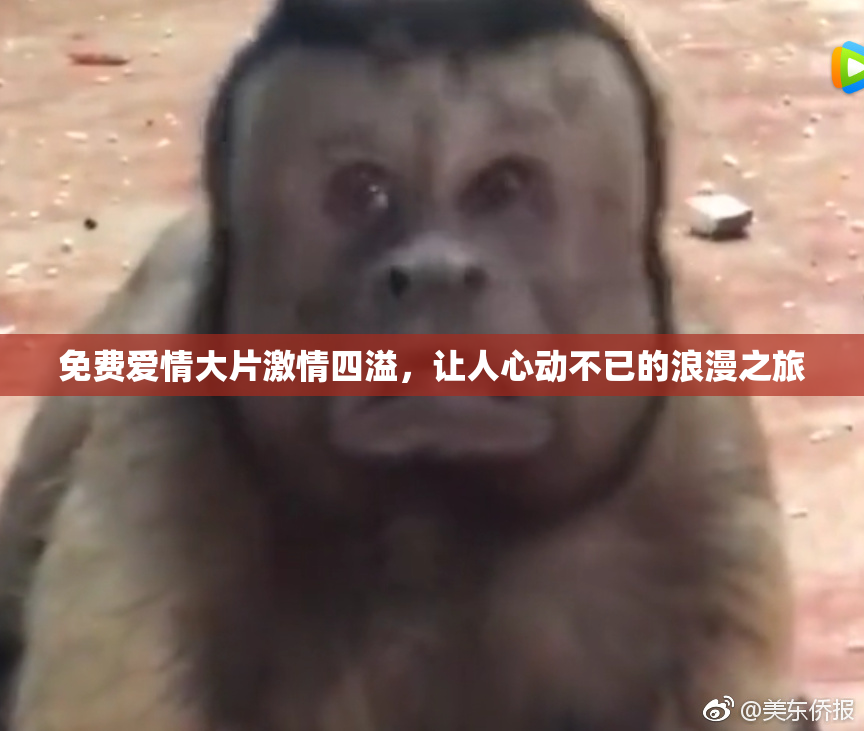 免费爱情大片激情四溢，让人心动不已的浪漫之旅