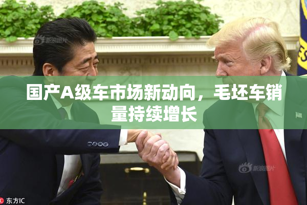 国产A级车市场新动向，毛坯车销量持续增长