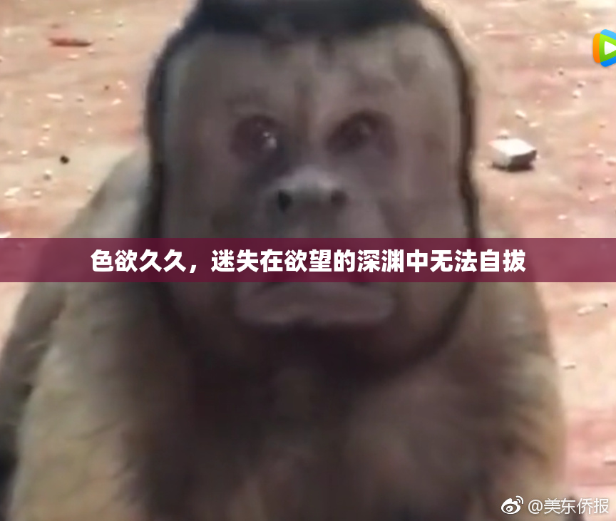 色欲久久，迷失在欲望的深渊中无法自拔