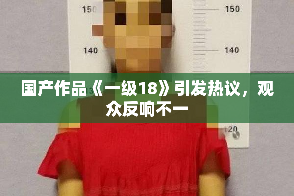 国产作品《一级18》引发热议，观众反响不一