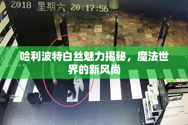 哈利波特白丝魅力揭秘，魔法世界的新风尚