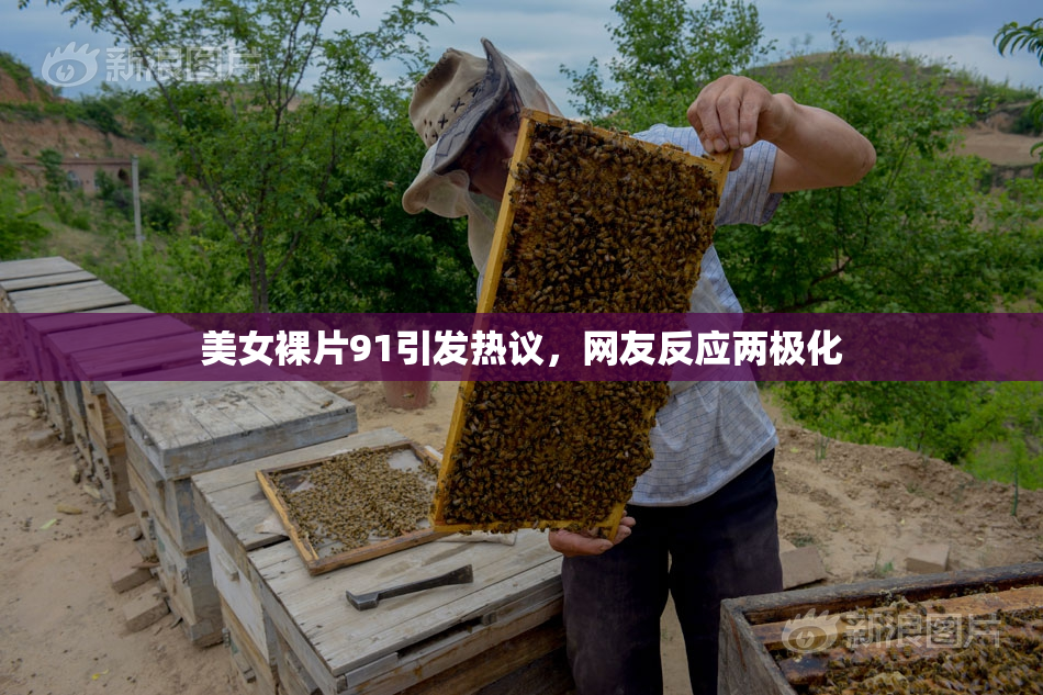 美女裸片91引发热议，网友反应两极化