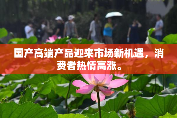 国产高端产品迎来市场新机遇，消费者热情高涨。