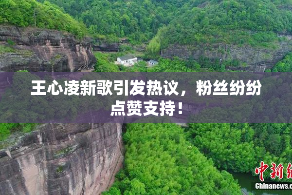 王心凌新歌引发热议，粉丝纷纷点赞支持！
