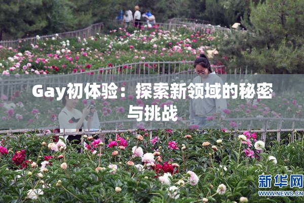 Gay初体验：探索新领域的秘密与挑战
